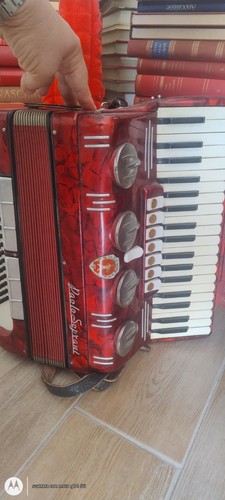 Paolo soprani fisarmonica - paolo,