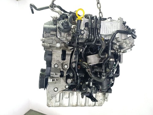 Dfg motore completo - motore,