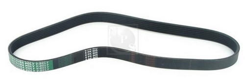 Cinghia poly per land - per,