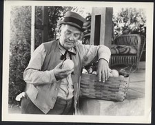 CESTO HARRY BERESFORD nei suoi