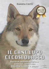 Il cane lupo cecoslovacco
