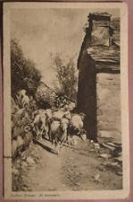 STEFANO BRUZZI - IN MONTAGNA