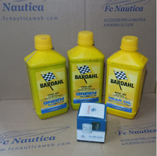 Kit tagliando fuoribordo 100h