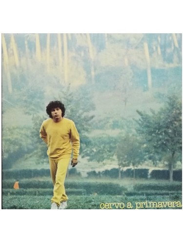 Vinile vintage giri - vinile,