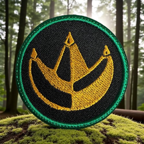 Patch ricamo monete - , power