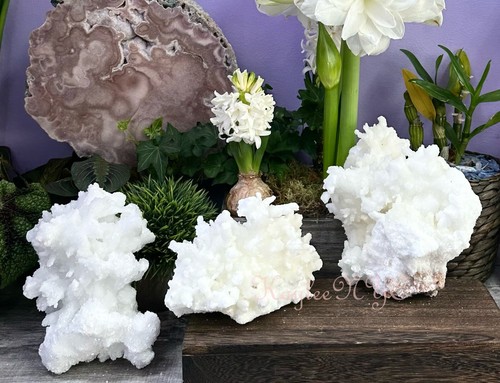 Wholesale lot pcs natural - wholesale,