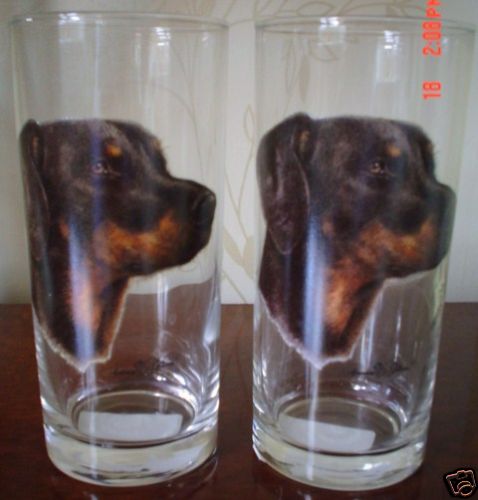 Doberman drinking glass pair - drinking,