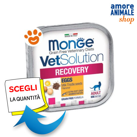 Monge cat vetsolution recovery - vetsolution,