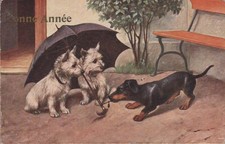 Bassotto bassotto vintage Teckel. Terrier Ombrello Cane Old Dog PC. 1917