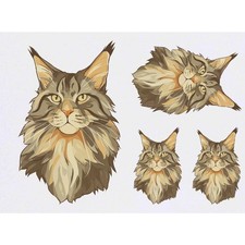 4 tatuaggi/trasferimenti