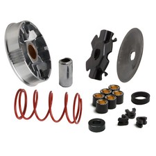 MF4006 Variatore Malossi per