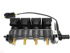 Binario Iniezione GPL Autogas