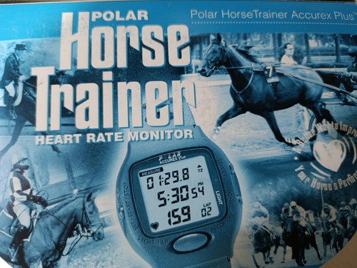 Polar horse trainer accurex - trainer,