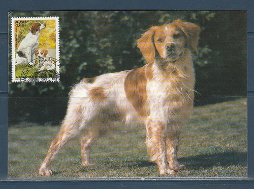 Carte 1er jour - ,