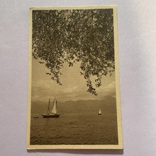 Selve recondite grige - selve, recondite,