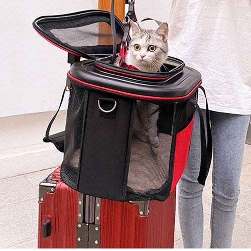 Valigia trolley per animali