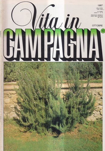 Vita campagna ottobre - campagna,