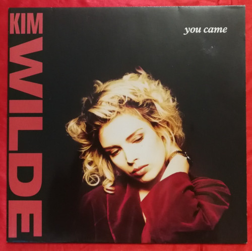 Kim wilde you came - -,