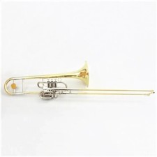 Trombone tenore ftb 480 - trombone, in