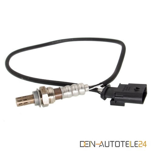 Sonda monitor secondo kat - sonda,