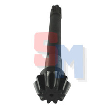 PIGNONE GOLDONI DENTI 10 FRESA