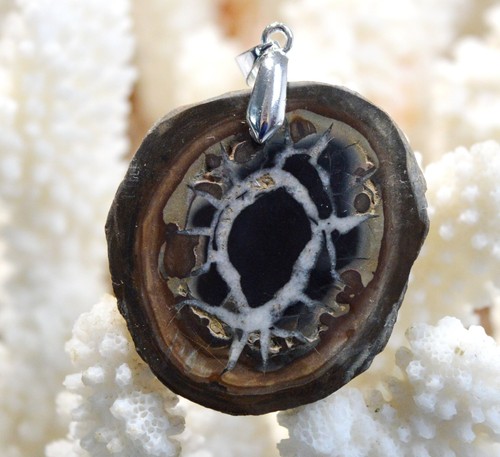 Septaria 110 carats - ,