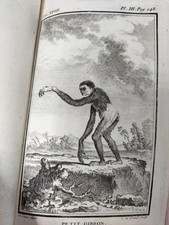 Buffon histoire naturelle - histoire,
