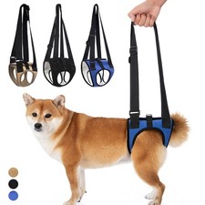 Imbracatura Sollevamento Cani