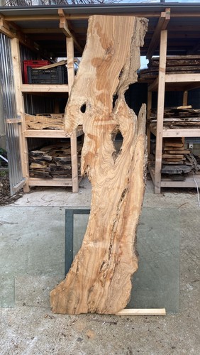 Tavola legno ulivo - in,