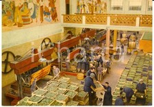 1960 ca SANTA VITTORIA D'ALBA