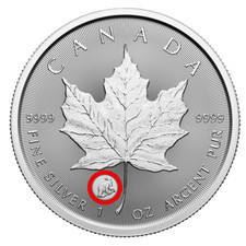 🇨🇦 Canada 99,99% Argento