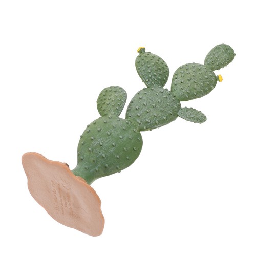 Scultura ornamento cactus