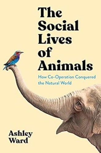 The social lives - the,