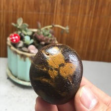 Bonsai Naturale Suiseki Gobi
