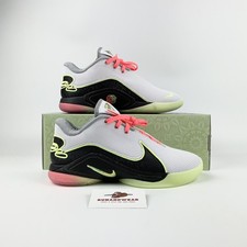 Nike LeBron 22 Crown Jewel