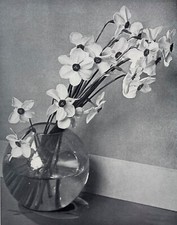 Lovely still life of flowers 1935 by Italo Bertoglio 1871-1963