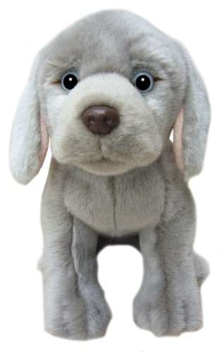 Blu weimaraner - 12",