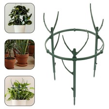  Traliccio di ramoscello da