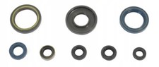 Set guarnizioni motore - motore, ktm