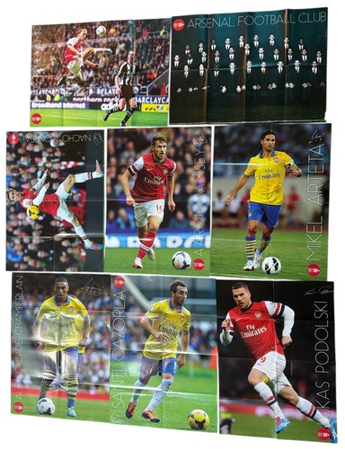Stagione arsenal 2013 - stagione,