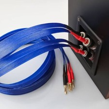 Coppia Cavo Altoparlante Audio