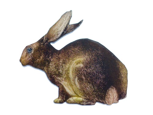Spilla coniglio stampata - spilla,
