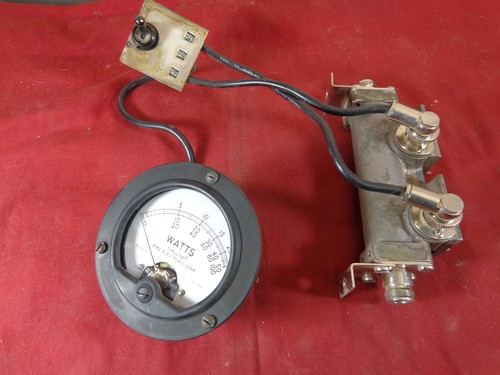 Wattmetro thruline bird - wattmetro,