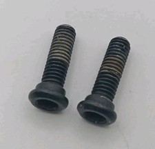 Paire de vis de fixation