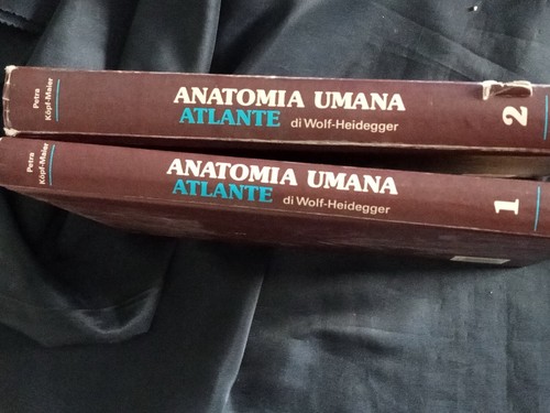 Anatomia umana atlante - atlante, tomi