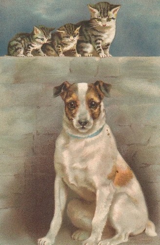 Vintage art postcard - vintage,