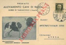Allevamento Cani di Razza