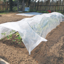 Early Tunnel, Mini Serra per