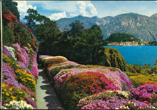 Italia - Italia - Lombardia - Lago di Como - Villa Carlotta - Fioritura di azalee