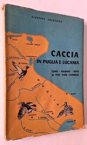 Caccia puglia lucania - caccia,